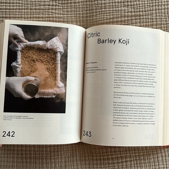 The Noma Guide to Fermentation - Picture 9 of 16